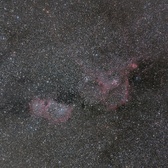 IC1848-IC1805-EF200-EOS6D IC1848, IC1805 in Cassiopeia Canon EF200 f3,2 EOS 6D Iso 800 700min 4 min Subs Gahberg 20161222 - 1229