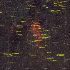 IC2177 Seagull Nebula-NGC2359 Thors Helmet-Grid IC2177 Seagull Nebula & NGC2359 Thor‘s Helmet, Canon EOS6Da EF200 ISO800 645min iEQ30Pro, Gahberg 20220228 - 0304