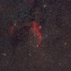 IC2177 Seagull Nebula-NGC2359 Thors Helmet IC2177 Seagull Nebula & NGC2359 Thor‘s Helmet, Canon EOS6Da EF200 ISO800 645min iEQ30Pro, Gahberg 20220228 - 0304