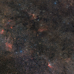 Nebula and Cluster in Cepheus Nebula & Cluster in Cepheus, Canon EOS6Da EF200 f4 ISO1600 88 x 300s total 440min iEQ30Pro, Gahberg 20200915 - 0920