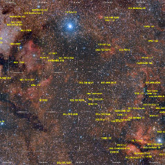 Nebula-in-Cygnus-Grid Nebula in Cygnus Canon EOS6Da, Ef200@f4 91x5 min, 20210811-0813