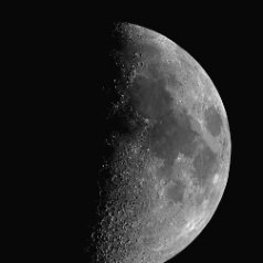 20030209 Mondmosaik 02