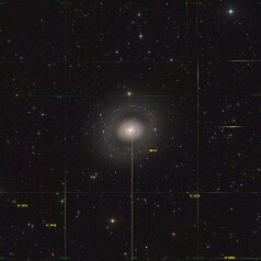 M94-in-Canes-Venatici-Grid M94 in Canes Venatici, ASA N10 DSPro 2600m L 76x500s, RGB a‘10x100s ASK8/f3 Nexus DSPro 2600C 135 x300s total: 22,6h ASA DDM85, Gahberg 20240406-0411