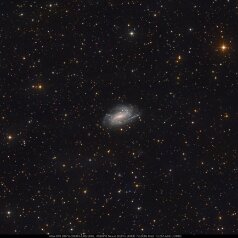 NGC925-in-Triangulum NGC925 in Triangulum, ASA N10 DSPro 2600m L48x500s, ASK8/f3 Nexus DSPro 2600C 79x300s total: 13,25h ASA DDM85, Gahberg 20250921