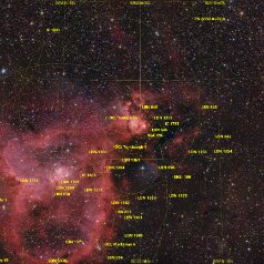 IC1795-IC1805-in-Cassiopeia-Grid IC1795 / IC1805 in Cassiopeia , Takahashi Epsilon 130, Nikon Z6, 206 x 5min, total 17,2h ASA DDM85, Gahberg 20251118-1218