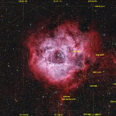 NGC2237-Rosettenebula-grid NGC224 / 2237 Rosette Nebula in Monoceros Redcat71, IMX571C, Gain 0, Offset 100, 61x300s LExtreme 134x300s total 16,25h, iOptron HAE43, Gahberg 20251219-1228