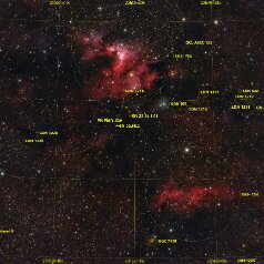 SH2-155.SH2-154-in-Cepheus-Grid SH2-155, SH2-154 in Cepheus, Redcat71, IMX571C, Gain 0, Offset 100, 88x300s L-extreme 140x300s total19h, iEQ30Pro, Gahberg 20250920-1106