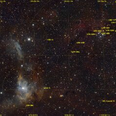 VDB14-VDB15-in-Camelopardalis-Grid VDB14&15, SH2-202 in Camelopardalis, Redcat71, IMX571C, Gain 0, Offset 100 97x300s total 8h, iOpron HAE43, Gahberg 20251118