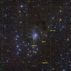 NGC225-VDB4-in-Cassiopeia-Grid NGC 225, VDB4 in Cassiopeia,ASAN10 Trius 694 L 466min, ASK8 Trius 694 RGB a‘ 153min, Gahberg 20231013