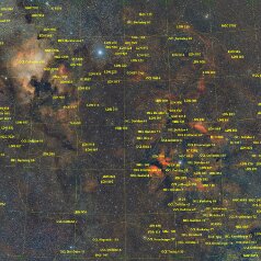 Cygnusmosaik-Grd Cygnusmosaik 4 panel,Canon EOS6Da EF200 ISO1600 50x5min each panel, iEQ30Pro, Gahberg 20230819 - 0821