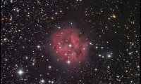 20060718 IC5146 cocoonbebula