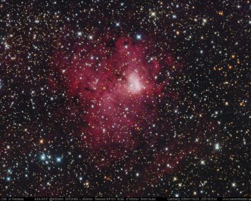 Nebula Archiv