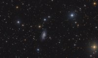 NGC 2541 NGC 2541 in Lynx ASAN10 Trius 694 L 650min, ASK8 Trius 694 RGB a‘ 200min Gahberg 20201219-1220