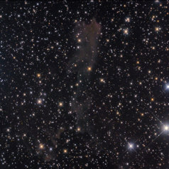 LBN438 LBN 438 in Lacerta 22h40+37.48 Intes Mk69@900mm St10XME L375min 5min subs Televue NP101 RGB 116/116/131min simultan Gahberg 20080928/0110