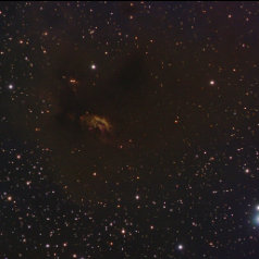 SH2-239 Sh2-239 HH28&29 LDN1549 in Taurus Televue NP101@540mm SXV-H9 LRGB 480/64/71/90 min total 11,8h gah20080111/0129/0203