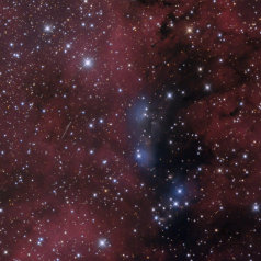 VDB132 VDB 132, NGC6914 & KP(1922)Zulu in Cygnus Intes Mk69 St10XME L230min & TV NP101 SXV-H9 RGB 73/73/73 5min Subs Gahberg 20080704