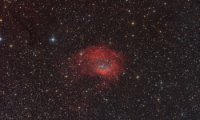 Sh2-261 Lowers Nebula widefield SH2-261 Lowers Nebula in Orion, Takahashi Epsilon 130D, DSPro 26900C, Gain 0, Offset 100,55x 300s L-extreme 135x300s total15,8h, ASA DDM85, Gahberg 20220125 -...