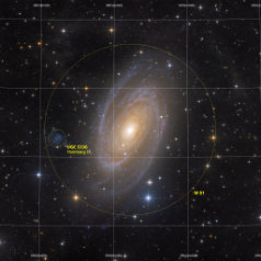 M81,Holmberg IX-Grid M 81 in Ursa Major, ASAN10 Trius 694 L 792min, Ha 308min, ASK8 Trius 694 RGB a‘ 250min total 31h, Gahberg 20201226 - 0307