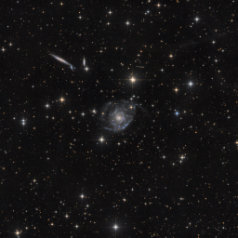 NGC 2805, 2820, 2814 in Ursa Major NGC 2805, 2820, 2814 in Ursa Major,ASAN10 Trius 694 L 892min, ASK8 Trius 694 RGB a‘ 308min, Gahberg 20220301 - 0305