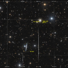 NGC2537 IC2233-Grid NGC2537/Arp6 und IC2233 in Lynx ASAN10 Trius 694 L 750min, ASK8 Trius 694 RGB a‘ 55min Gahberg 20201118 -1122