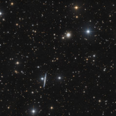NGC2537 IC2233 NGC2537/Arp6 und IC2233 in Lynx ASAN10 Trius 694 L 750min, ASK8 Trius 694 RGB a‘ 55min Gahberg 20201118 -1122
