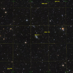NGC3319 Widefield-Grid NGC 3319 in Ursa Major,Takahashi Epsilon 130D, DSPro 2600C, Gain 0, Offset 100 90 x 300s total 7,5h ASA DDM85,Gahberg 20230215