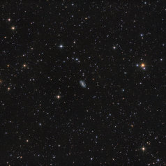 NGC3319 Widefield NGC 3319 in Ursa Major,Takahashi Epsilon 130D, DSPro 2600C, Gain 0, Offset 100 90 x 300s total 7,5h ASA DDM85,Gahberg 20230215