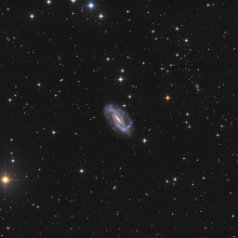 NGC3319 in Ursa Major NGC3319 in Ursa Major,ASAN10 Trius 694 L 466min, ASK8 Trius 694 RGB a‘ 147min, Gahberg 20230215