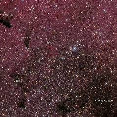 Barnard160-ID Barnard 160,162,163 in Cepheus ASA N10“ @950mm St10XME L 6,7h Televue NP101 RGB a2,1h 5 min Subs Gahberg 20090818 0819