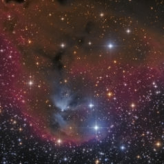 Ced-51 Cederblad 51 und Barnard 30 in Orion. ASA N10“ @1050mm Paracorr, Trius 694 L 558min ASK8“ @540mm SXV-H9 RGB a‘190min. Gahberg 20170120 - 0121