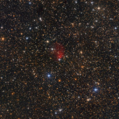 GN 19 44 6 01 in Vulpecula GN 19.44.6.01 in Vulpecul, ASAN10 Trius 694 L 500min, ASK8 Trius 694 RGB a‘ 229min Ha12nM 225min total23,5h, Gahberg 20210709-0713
