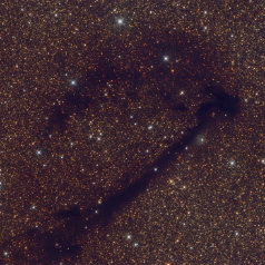 LDN778 LDN778,781,782,783 in Vulpecula ASAN10