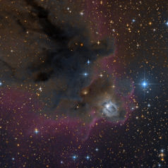 Ldn1622-vdB-62 VDB 62, LDN 1622. ASA N10“ @1050mm Paracorr,Trius 694 L 750min ASK8“ @540mm SXV-H9 RGB a‘200min. Gahberg 20170122 - 0128