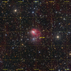 NGC1931-in-Auriga-Grid NGC1931 in Auriga, ASAN10 Trius 694 L633 min, ASK8 Trius 694 RGB a‘ 217min Ha 12 nm 442min, total 28.8h, Gahberg 20211029 - 1221