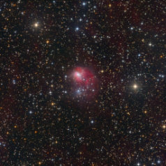 NGC1931-in-Auriga NGC1931 in Auriga, ASAN10 Trius 694 L633 min, ASK8 Trius 694 RGB a‘ 217min Ha 12 nm 442min, total 28.8h, Gahberg 20211029 - 1221