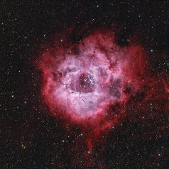 NGC2237-Rosettenebula-full-field NGC224 / 2237 Rosette Nebula in Monoceros Redcat71, IMX571C, Gain 0, Offset 100, 61x300s LExtreme 134x300s total 16,25h, iOptron HAE43, Gahberg 20251219-1228