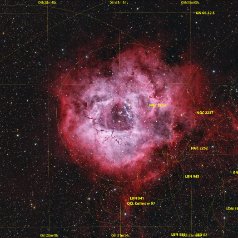 NGC2237-Rosettenebula-grid NGC224 / 2237 Rosette Nebula in Monoceros Redcat71, IMX571C, Gain 0, Offset 100, 61x300s LExtreme 134x300s total 16,25h, iOptron HAE43, Gahberg 20251219-1228