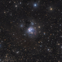NGC7129-in-Cepheus NGC7129 in Cepheus,ASAN10 Trius 694 L 480min, ASK8 Trius 694 RGB a‘ 160min,Gahberg 20230811