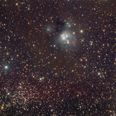 Ngc7129 Ngc7129,7142 IC5134 LDN 1179,1182 ASA N10“ @950mm St10XME L 390 min Televue NP101 RGB a'131min 5min Subs Gahberg 201008090906