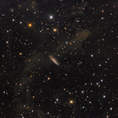 Ngc7497,MBM54 Ngc 7497, MBM 54 in Pegasi ASA N10“ @950mm St10XME L555min ASK 8“@540mm SXV-H9 RGB 203/189/219min Gahberg 20110930 -1221