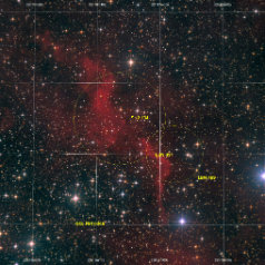 Sh2-134 LBN489 LBN491-Grid Sh2-134 / LBN 489, 491 in Cepheus ASAN10 Trius 694 L467 min, Ha 7nm 542 min, ASK8 Trius 694 RGB a‘ 138minGahberg 20200809 - 0812