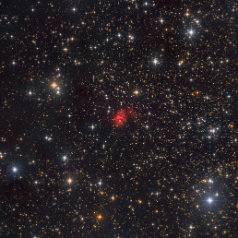 Sh2-146 in Cepheus Sh2-146 in Cepheus,ASAN10 Trius 694 L350min,Ha450min ASK8 Trius 694 RGB a‘108min,Gahberg 20200810-0821