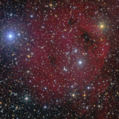 Sh2-173 OCL Mayer1 Sh2-173, OCL Mayer1 in Cassiopeia, ASAN10 Trius 694 Ha 735 min, L 342 min, ASK8 Trius 694 RGB a‘ 239min, Gahberg 20190922 - 1023