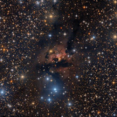 Sh2-187-in-Cassiopeia ASA N10“ @1050mm Paracorr Trius 694 L 708min ASK8“ @540mm SXV-H9 RGB 233/233/287min Gahberg 20171013 - 1016