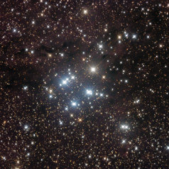 Sh2-202 OCL Stock 23 / Sh2-202 in Camelopardalis ASA N10“ @950mm St10XME L 262min ASK 8“@540mm SXV-H9 RGB 105/95/115min Gahberg 20141019-1116