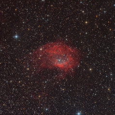 Sh2-261 Lowers Nebula widefield SH2-261 Lowers Nebula in Orion, Takahashi Epsilon 130D, DSPro 26900C, Gain 0, Offset 100,55x 300s L-extreme 135x300s total15,8h, ASA DDM85, Gahberg 20220125 -...