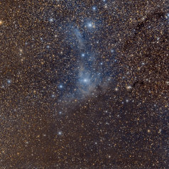 VDB-14-und15-Esprit-EOS-6D Das gößere Bildfeld zeigt eine Unmenge von Staub die die Sterne ins Rotbraune verfärben. Rechts oben ist noch der offene Sternhaufen Stock 23, Pazmino's Cluster...