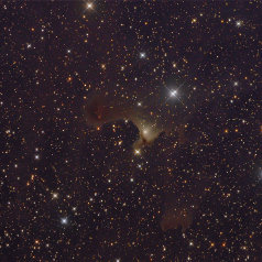 VDB141-Sh2-136 VDB 141 / Sh2-136 in Cepheus ASA N10“ @950mm St10XME L 310 min Televue NP101 RGB a' 290min 5min Subs Gahberg 20100911/1009/1011