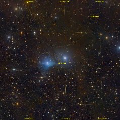 VDB143-in-Cepheus-Grid VDB 143 in Cepheus, ASA N10 DSPro 2600m L57x500s, ASK8/f3 Nexus DSPro 2600C, 90x300s total:15,4h ASA DDM85, Gahberg 20250918