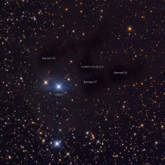 VDB31-ID VDB31 Barnard 26, 27, 28 in Auriga 04h55+30.32 Intes Mk69@900mm St10XME 335minL Televue NP101/SXV-H9 RGB a'111min total 11,1h Gahberg 20081228/122